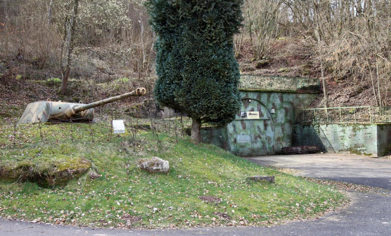 Fewo Pfaelzer Felsenlandschaft Pirmasens Dış mekan fotoğraf
